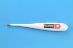 Digital Thermometer